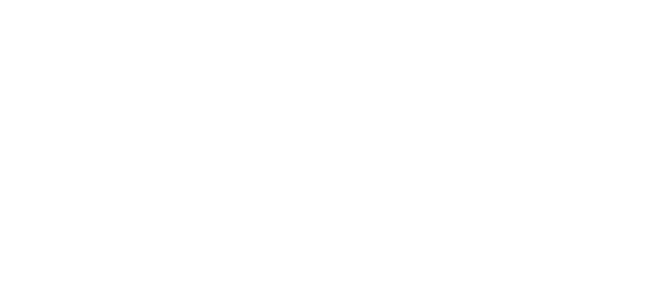 Professional Cricket Journey