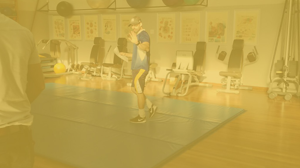 Wellness Programme
